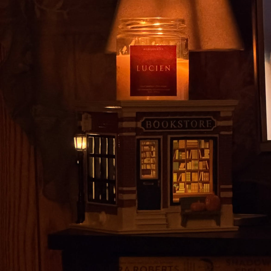 Wonderwick customer post by @bookish_lizz23