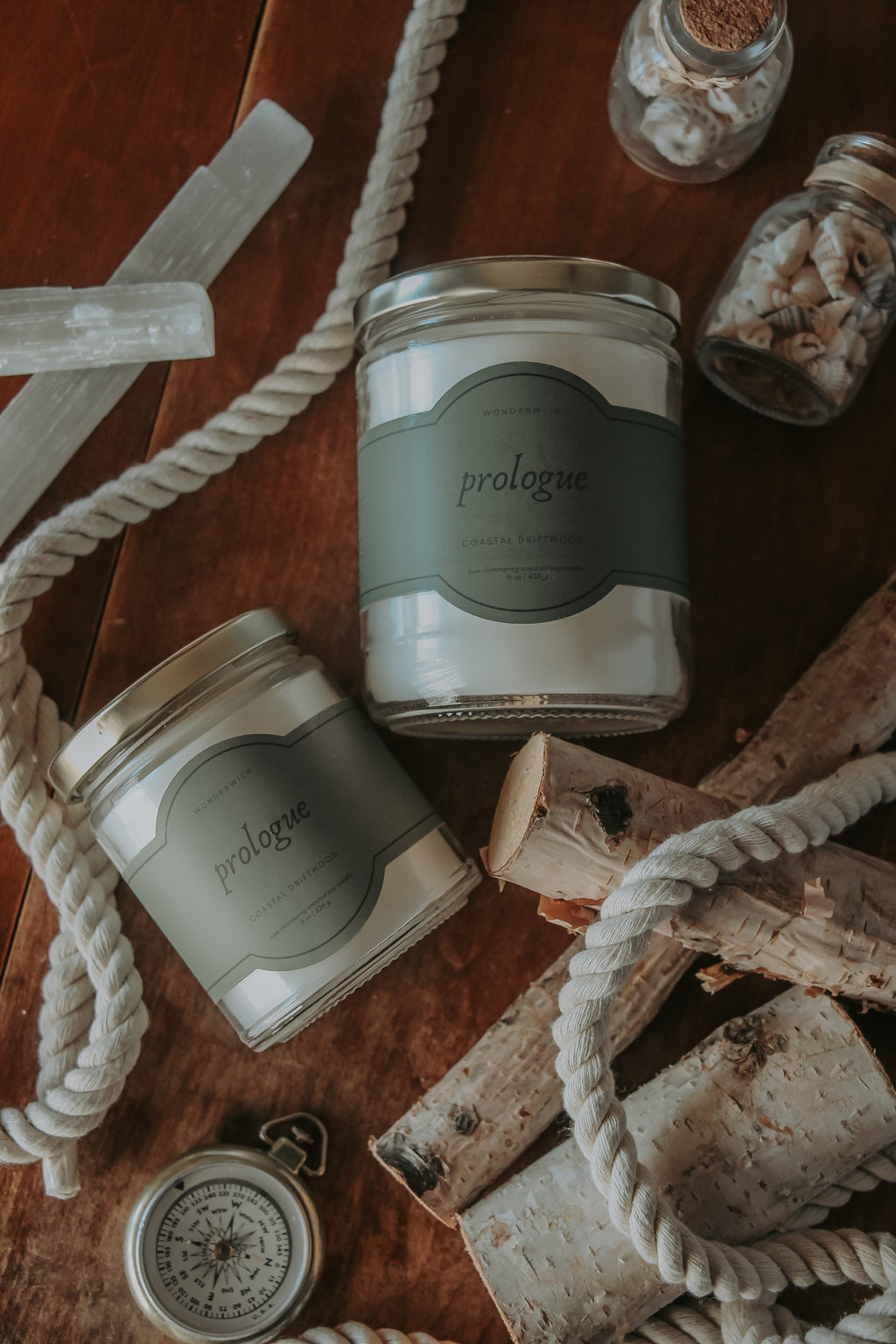 Prologue - Coastal Driftwood